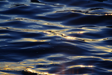 Similar image 2139954