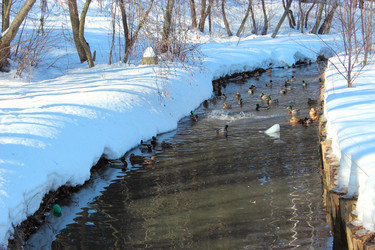 Similar image 2140177