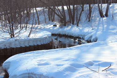 Similar image 2140179