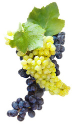 Similar image 2140536