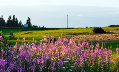 Similar image 2141018