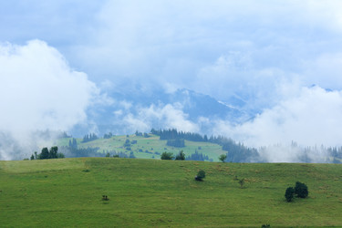 Similar image 2141036