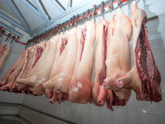 Similar image 2141176