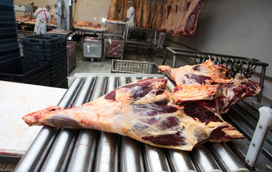 Similar image 2141177