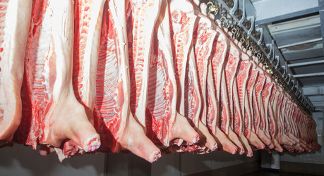 Similar image 2141179