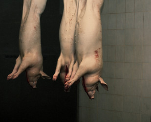 Similar image 2141184