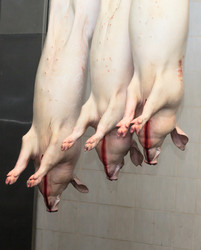 Similar image 2141186