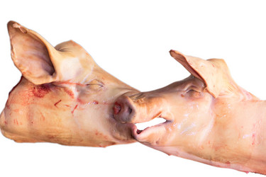 Similar image 2141192