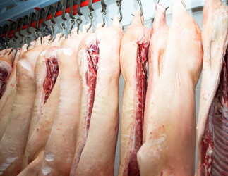 Similar image 2141199