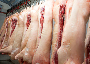 Similar image 2141201