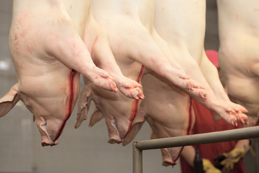 Similar image 2141202