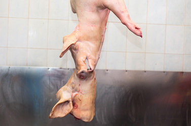 Similar image 2141368