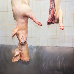 Similar image 2141369