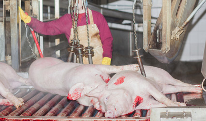 Similar image 2141371