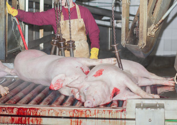 Similar image 2141372