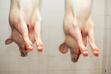 Similar image 2141373