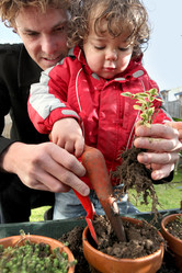 Similar image 2142765