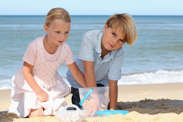 Similar image 2143327