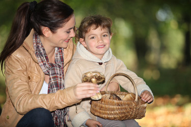 Similar image 2143335