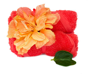 Similar image 2144933