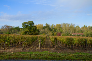 Similar image 2144960