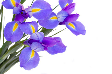 Similar image 2144971