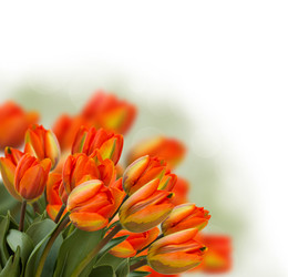 Similar image 2144980