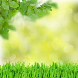 Similar image 2144982