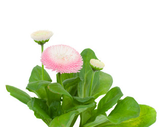 Similar image 2144994