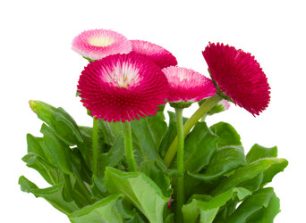 Similar image 2144997