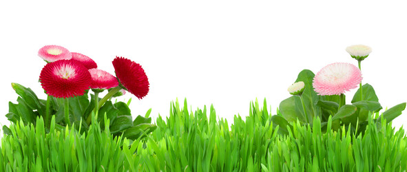 Similar image 2145085