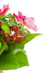 Similar image 2145130