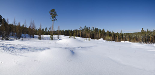 Similar image 2145274