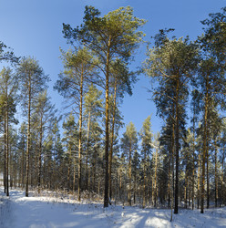 Similar image 2145277