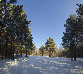 Similar image 2145280