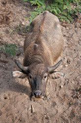 Similar image 2145335