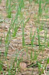 Similar image 2145349