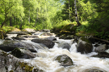 Similar image 2145489