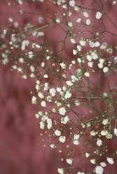 Similar image 2147111