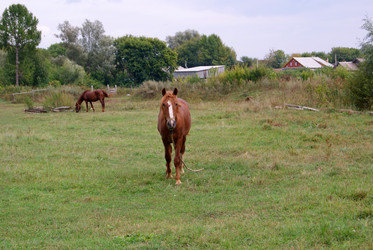 Similar image 2147130