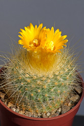 Similar image 2147723