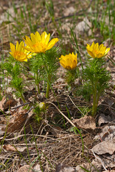 Similar image 2147726