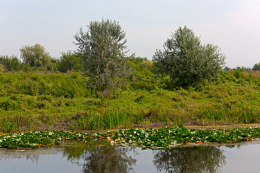 Similar image 2147727