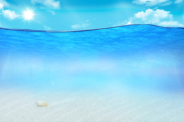 Similar image 2148632