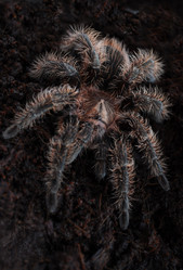 Similar image 2148877