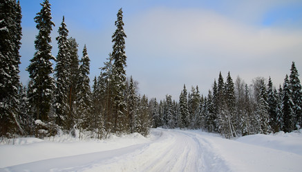 Similar image 2148899