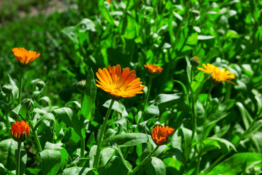 Similar image 2149756