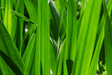 Similar image 2149758