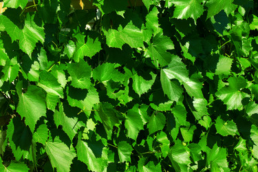 Similar image 2149759