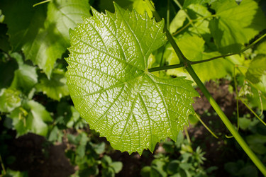 Similar image 2149763